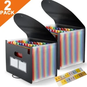 File Organizer